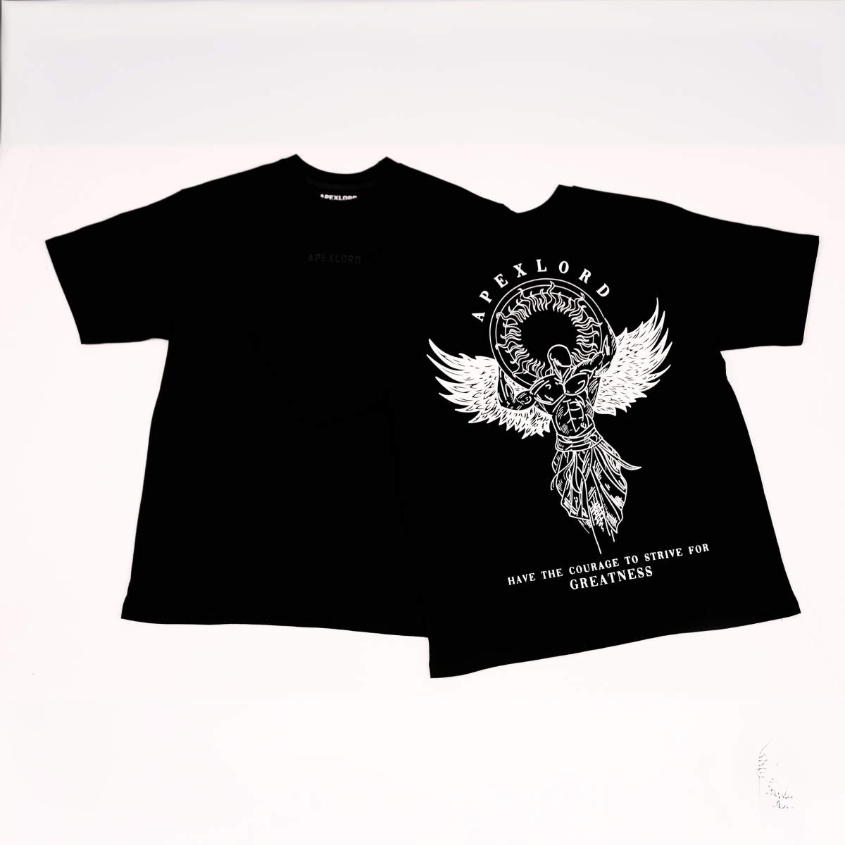Greek god oversize printed T shirt